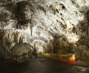 Экскурсия по пещере Постойна и замку Предяма на полдня из Любляны